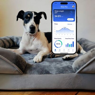 Smart Reptile Pet Bed Health Monitor Track Heart Rate Breathing Rate Sleep Pad WiFi Control Outdoor & Car Use Pet Mat