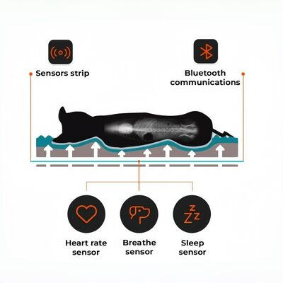 Smart Reptile Pet Bed Health Monitor Track Heart Rate Breathing Rate Sleep Pad WiFi Control Outdoor & Car Use Pet Mat