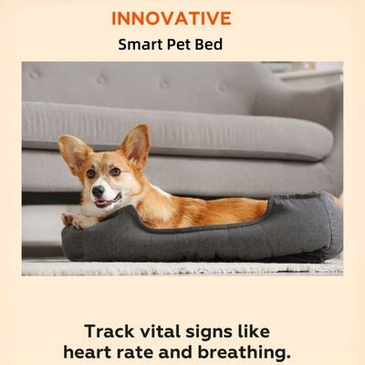 Smart Reptile Pet Bed Health Monitor Track Heart Rate Breathing Rate Sleep Pad WiFi Control Outdoor & Car Use Pet Mat