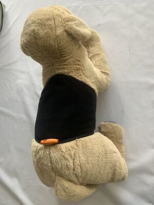 Sıcak Saray Kuşağı, evcil hayvanların bel desteği ve sıcaklığı için esnek kumaş ve USB şarjı ile günlük kullanım için tasarlanmış bir bel ısıtma kemeri.