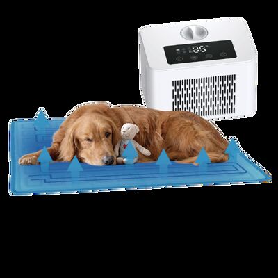 Elektrikli Köpek ve Kedi Soğutma Matı PTC Isıtma Soğutma Sistemi Çevre Dostu PVC Malzeme Aşırı Isınma Koruması Dört Mevsim Kullanım 60x45cm
